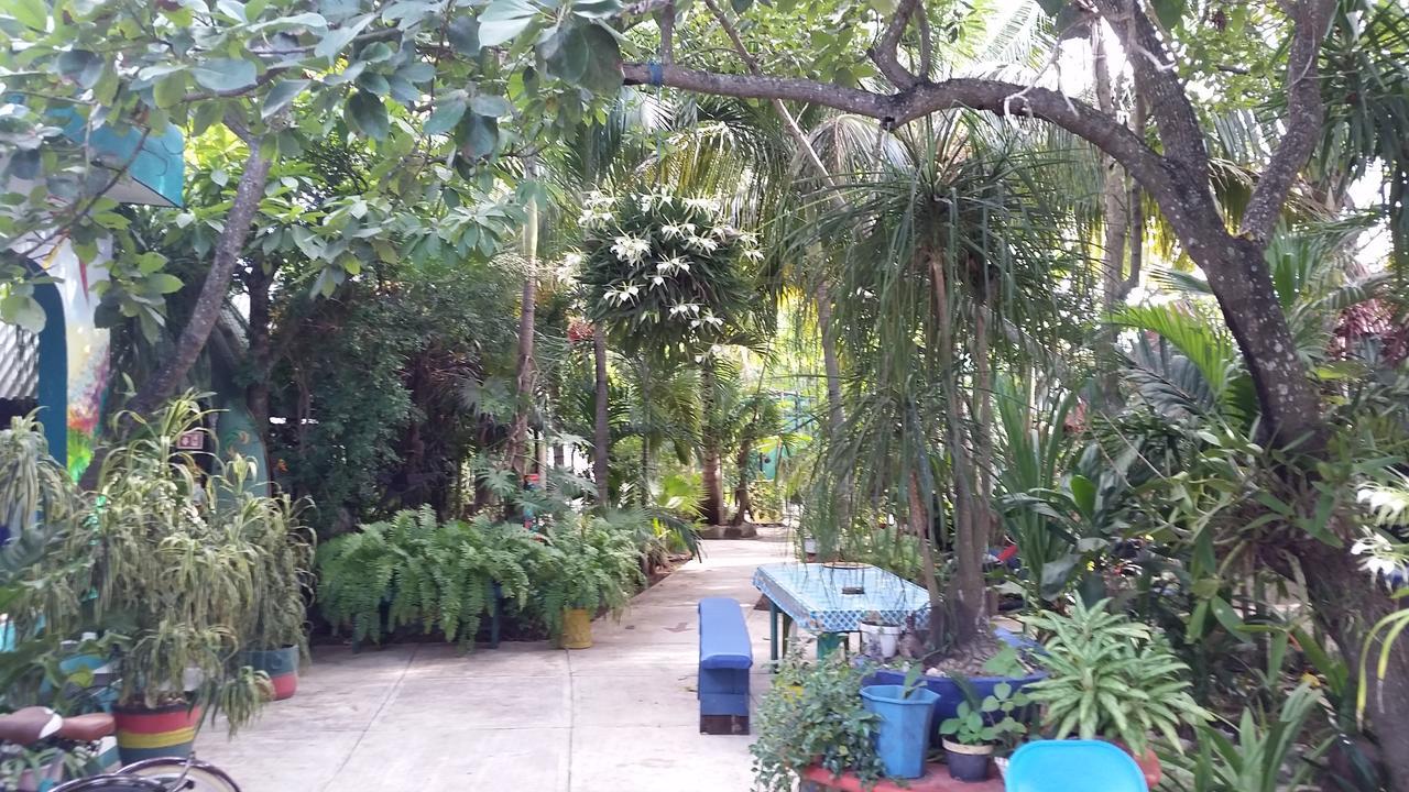 Rancho Tranquilo Vandrehjem Tulum Eksteriør billede