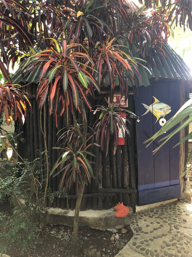 Rancho Tranquilo Vandrehjem Tulum Eksteriør billede